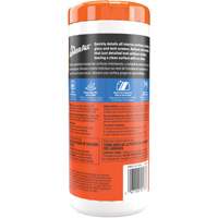 Interior Detailer Wipes SPOC Demo