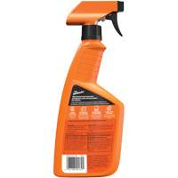 Multi-Purpose Auto Cleaner, 16 oz./473 ml, Trigger Bottle SPOC Demo
