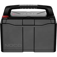 Group 31 120Ah Lithium-Ion LiFePO4 Dual-Purpose Battery SPOC Demo