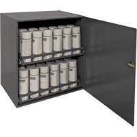 Aerosol Storage Cabinet, Steel, 21-7/8" H x 15-15/16" W x 20-5/16" D, Grey SPOC Demo