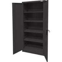 Storage Cabinet, Steel, 4 Shelves, 66" H x 30" W x 15" D, Black SPOC Demo