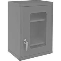 Wall-Mountable Storage Cabinet with Clearview Doors, 26-15/16" H x 18-1/8" W x 13-11/16" D, 2 Shelves, Steel, Grey SPOC Demo
