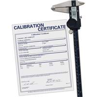 Pied &agrave; coulisse num&eacute;rique avec certificat de traçabilit&eacute;, R&eacute;solution de 0,0005" (0,01 mm), 0" - 12" (0 mm - 300 mm) gamme de mesure SPOC Demo