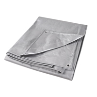 Tarp, Super Heavy-Duty, Silver, 10' x 8' x 12 mils SPOC Demo
