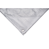 Tarp, Super Heavy-Duty, Silver, 10' x 8' x 12 mils SPOC Demo