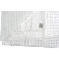 Clear Tarp, 12' x 10' x 8 mils SPOC Demo