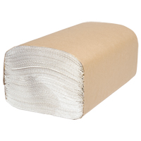 Everest Pro Singlefold Hand Towels, 1 Ply, 10-1/4" L x 9-1/4" W, 250 /Pack SPOC Demo