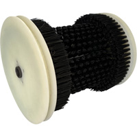 Brosse de recharge SPOC Demo