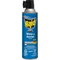Insecticide contre les gu&ecirc;pes et les frelons Raid, 400 g, &agrave; base de solvant SPOC Demo