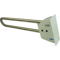 Swing-Up Safety Rail SPOC Demo
