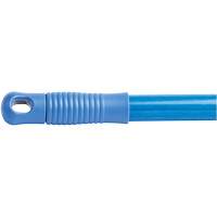 Handle, Fibreglass, Quick-Connect Tip, 1" Diameter, 60" Length SPOC Demo