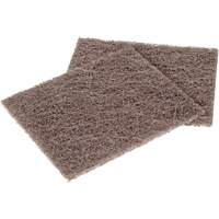 Tampon pour gros travaux de nettoyage des plaques Scotch-Brite, 4-1/2" lo x 5-1/2" la SPOC Demo