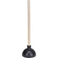 Plongeurs
