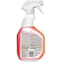 Disinfecting Bio Stain & Odour Remover, 946 ml, Trigger Bottle SPOC Demo