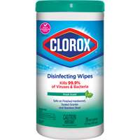 Disinfecting Wipes, 75 Count SPOC Demo