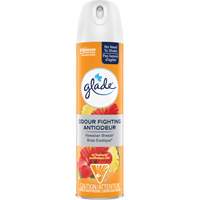 Air Freshener, Hawaiian Breeze&reg;, Aerosol Can SPOC Demo