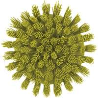 Brosse ronde HyDrive pour perceuse, Soies Tr&egrave;s ferme, Longueur de 3-1/10", Jaune SPOC Demo