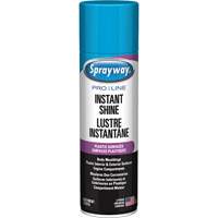 Brillant instantan&eacute; Pro Line pour surfaces en plastique, 11 oz, Canette a&eacute;rosol SPOC Demo