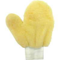 Paint Mitt SPOC Demo
