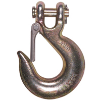 Clevis Slip Hook with Latch - Grade 70 SPOC Demo