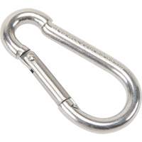 Mousqueton en acier inoxydable, 220 lb (0,11 tonne) Charge d'utilisation max., 3/16" Taille, 5/16" Oeil SPOC Demo