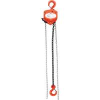 Chain Hoist, 10' Lift, 10000 lbs. (5 tons) Capacity, Alloy Steel Chain SPOC Demo