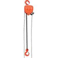 Chain Hoist, 10' Lift, 10000 lbs. (5 tons) Capacity, Alloy Steel Chain SPOC Demo