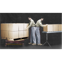 Plateformes de levage manuelles Pallet Pal, 43-5/8" lo x 43-5/8" la, Capacit&eacute; 4500 lb SPOC Demo