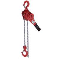 VQ Series Super Light Lever Hoist, 10' Lift, 2300 lbs. (1.6 tons) Capacity, Zinc Chain SPOC Demo