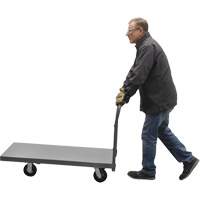 Platform Truck, 48" L x 24" W, 2000 lbs. Capacity, Rubber Casters SPOC Demo