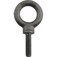Alloy Steel Eye Bolt, 1" Dia., 1-1/4" L, 1480 lbs. (0.74 tons)/1480 lbs. Capacity SPOC Demo