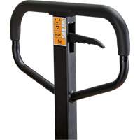 Manual Pallet Truck, Steel, 48" L x 21" W, 5500 lbs. Capacity SPOC Demo