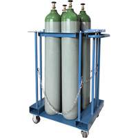4-Cylinder Forklift Cylinder Storage Caddy SPOC Demo