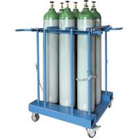 6-Cylinder Forklift Cylinder Storage Caddy SPOC Demo