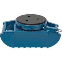 Machine Roller, 3.75 tons Capacity SPOC Demo