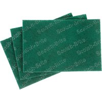 Tampons manuels Scotch-Brite, 9" lo x 6" la SPOC Demo