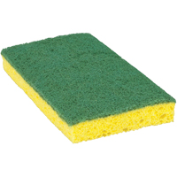 &eacute;ponge &agrave; r&eacute;curer pour travaux moyens Scotch-Brite, &agrave; r&eacute;curer, 3-3/5" la x 6-1/10" l SPOC Demo