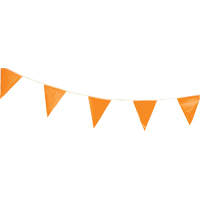 Fanions, 60' lo, Orange SPOC Demo