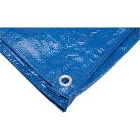 Tarp, Standard Duty, Blue, 7' x 5' x 4 mils SPOC Demo