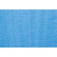 Tarp, Standard Duty, Blue, 7' x 5' x 4 mils SPOC Demo