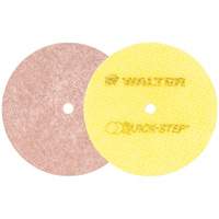 Quick-Step Instant Polish Discs, 5" Dia. SPOC Demo