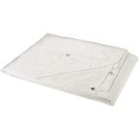Tarp, Heavy-Duty, White, 40' x 30' x 6 mils SPOC Demo