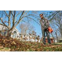 3-in-1 VacPack Leaf Blower/Vacuum/Mulcher, 250 MPH Output, Electric SPOC Demo