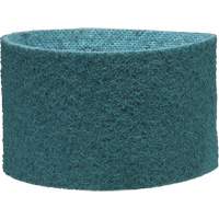 Scotch-Brite Surface Conditioning Belt SPOC Demo