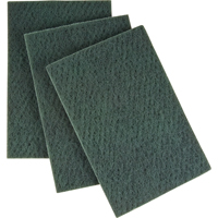 Scouring Hand Pad, 6" x 9", Medium Grit SPOC Demo