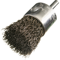 Brosses mont&eacute;es &agrave; fils cr&ecirc;p&eacute;s, 3/4", Fils 0,014", Tige 1/4" SPOC Demo