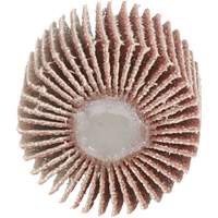 Flap Disc 747D, Aluminum Oxide/Ceramic, 80 Grit, 1" x 1" x 1/4" SPOC Demo