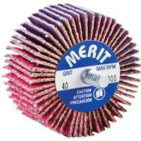 Threaded Mini Flap Wheel, Ceramic Alumina, 40 Grit, 2" x 1" x 1/4"-20 SPOC Demo