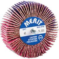 Threaded Mini Flap Wheel, Ceramic Alumina, 40 Grit, 3" x 1" x 1/4"-20 SPOC Demo