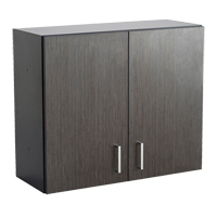 Armoire modulaire murale, 30" h x 36" la x 15" p, 1 tablettes, M&eacute;lamine, Nuit d'Asie/noir SPOC Demo